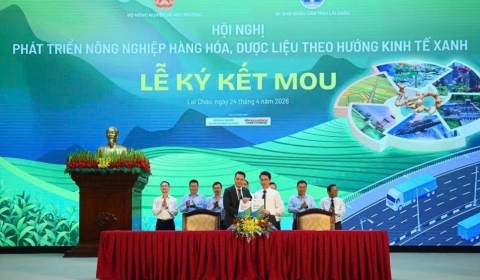 TVOne Việt Nam ký kết hợp tác phát triển vùng nguyên liệu thảo dược, đồng hành cùng Lai Châu thúc đẩy nông nghiệp bền vững